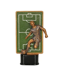 Fotbalová model 21364451