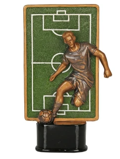 Fotbalová model 21364451