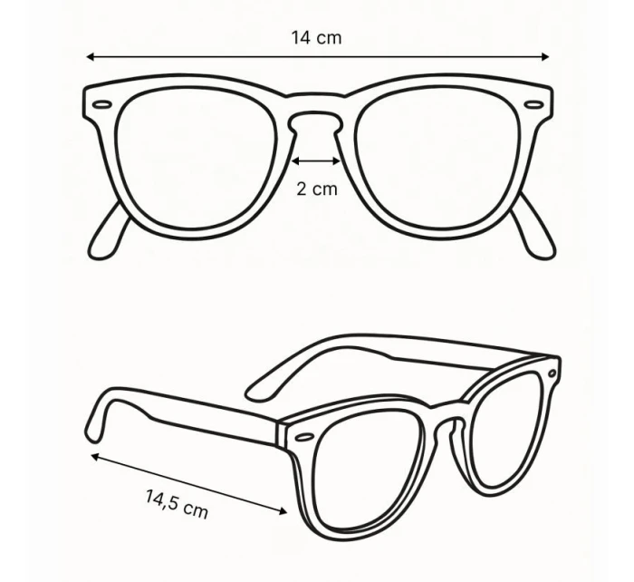 model 21358183 - Iguana