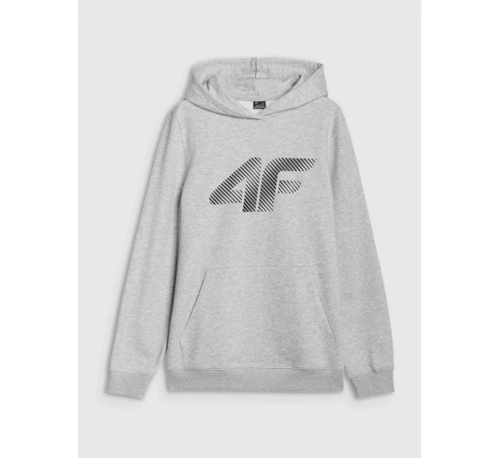 Pánská mikina s kapucí s model 21437387 - 4F Pánská mikina s kapucí s model 21437387 - 4F