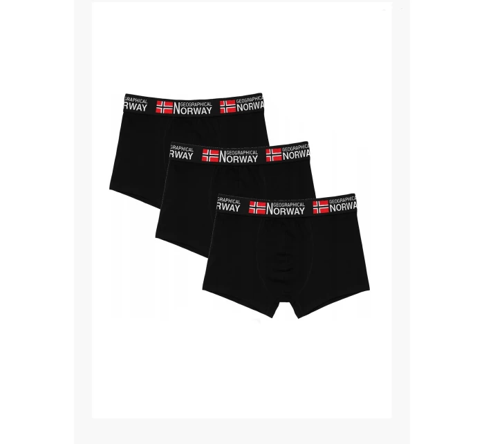 Geographical Norway GN-02 A'3 M-2XL boxerky