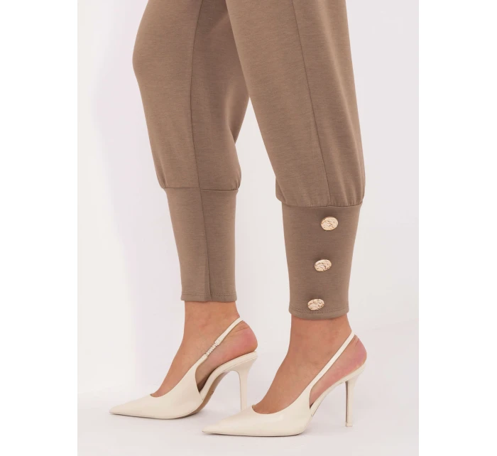 Spodnie IT SP model 21441252 ciemny bezowy - FPrice