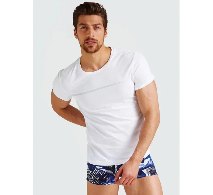 Pánské tričko 2pcs U92G10JR00A-HE90 bílošedá - Guess