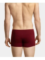 Pánské boxerky ATLANTIC 5Pack - vícebarevné