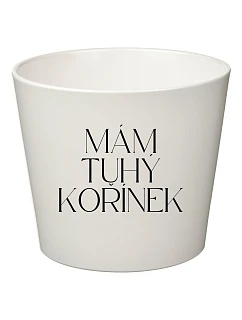 MÁM TUHÝ KOŘÍNEK - velký květináč 