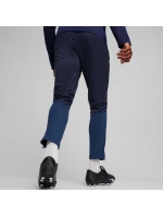 Puma Team Goal Training M kalhoty 658639 06 Puma Team Goal Training M kalhoty 658639 06