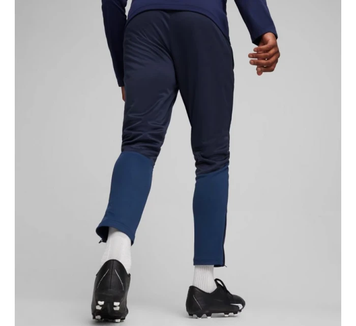 Puma Team Goal Training M kalhoty 658639 06 Puma Team Goal Training M kalhoty 658639 06