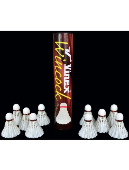 Šipky  NO10 model 21868064 - Vinex