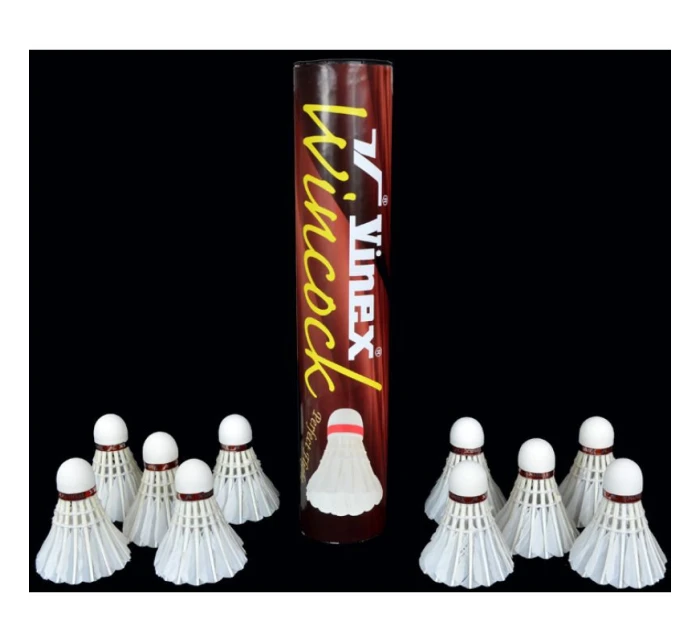 Šipky  NO10 model 21868064 - Vinex