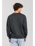 Fruit of the Loom Iconic 250 Set-In Sweat Mikina 16.2292 light graphite