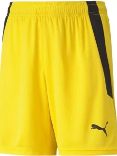Puma teamLIGA Shorts Jr 704931 07