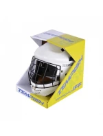 Jr brankářská maska model 20936001 - Tempish