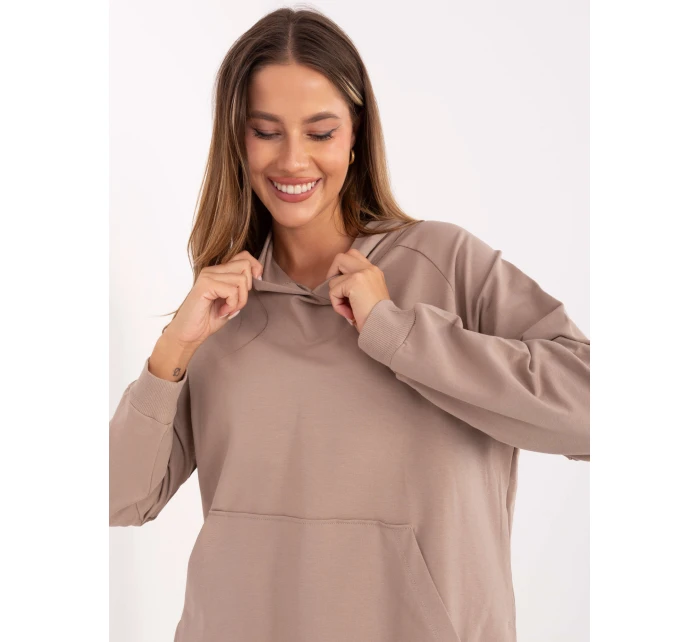 Bluza RV BL model 21399611 ciemny bezowy - FPrice