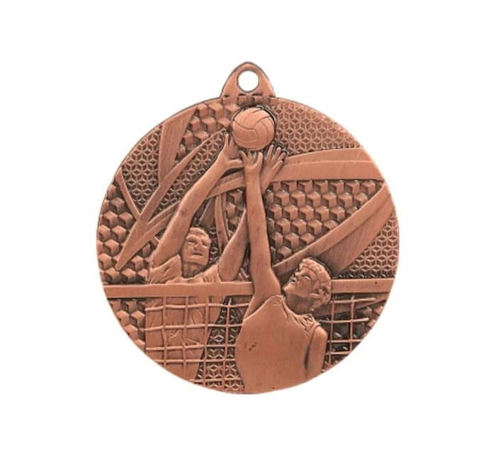 bronzová medaile - volejbal