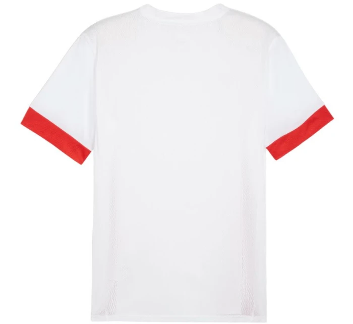 Puma teamGoal Matchday Jersey M 705747 11 pánské