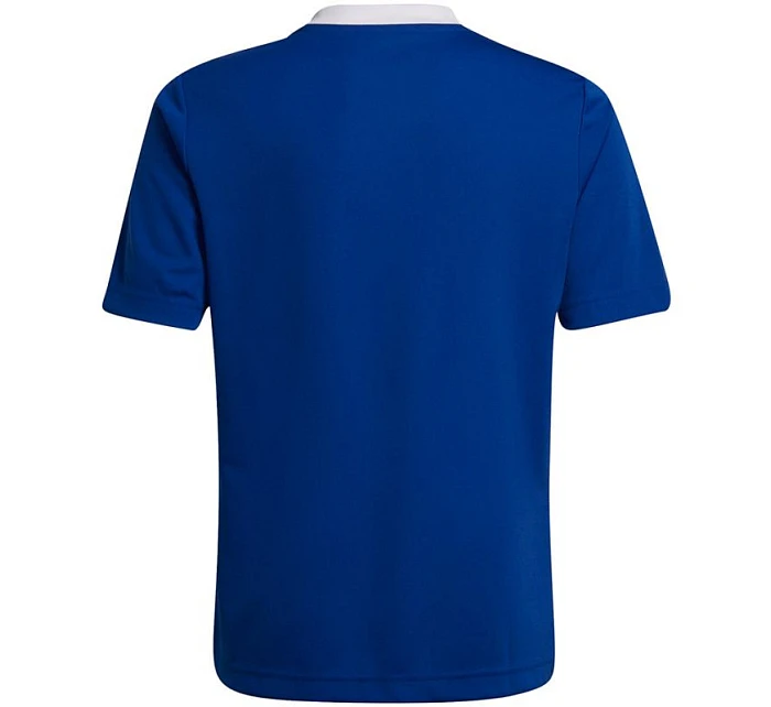 Dětské tréninkové tričko Entrada 22 Jsy Jr HG3948 - Adidas