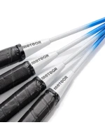 set Motion 4 model 19912174 - Meteor