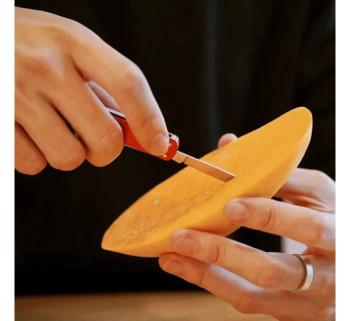 Mini kapesní nůž model 21746618 4 v 1 červený - NexTool