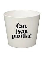 ČAU, JSEM PAŽITKA! - malý květináč 