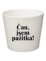 ČAU, JSEM PAŽITKA! - malý květináč