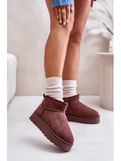 Dámské Sněhule Na Platformě Zateplené Kožíškem Tmavě Hnědé model 21672069 - Boto