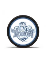 Hokejový puk Sportrebel KHT2 13100022