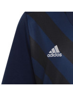 Dětský dres Entrada 22 Graphic Jersey Jr HF0122 - Adidas