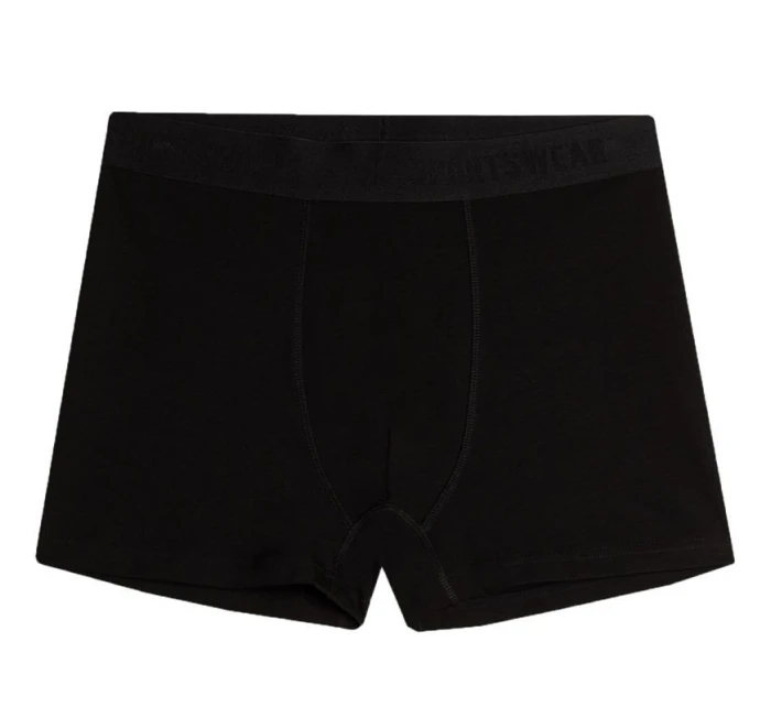 Boxerky  1 M AW23UBXS 91S model 19061650 - 4F