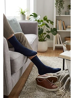 Pánské ponožky model 7461227 - Regina Socks