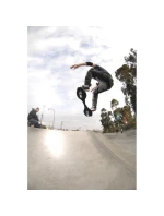 skateboard Black model 21719433 - Razor skateboard Black model 21719433 - Razor