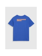 Dámské tričko oversize s potiskem model 21433370 - 4F Dámské tričko oversize s potiskem model 21433370 - 4F