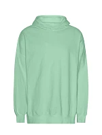 T Mikina s kapucí z těžké bio IC bavlny "Tiger" dusty mint model 22417462 - Neutral T Mikina s kapucí z těžké bio IC bavlny "Tiger" dusty mint model 22417462 - Neutral