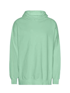 T Mikina s kapucí z těžké bio IC bavlny "Tiger" dusty mint model 22417462 - Neutral