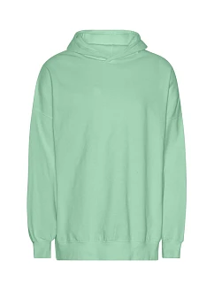 T Mikina s kapucí z těžké bio IC bavlny "Tiger" dusty mint model 22417462 - Neutral