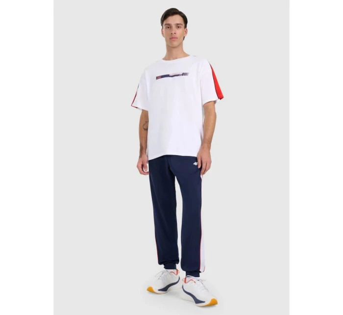 Pánské tepláky typu jogger model 21815748 - 4F Pánské tepláky typu jogger model 21815748 - 4F