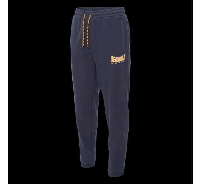 Pánské kalhoty model 21761967 - Iguana