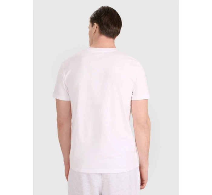 Pánské volejbalové tričko s potiskem model 21812112 pánské - 4F Pánské volejbalové tričko s potiskem model 21812112 pánské - 4F