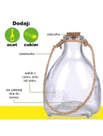 NA model 21832093 - Kinzo NA model 21832093 - Kinzo