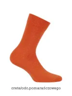 Pánské ponožky Perfect Man W model 5790107 - Wola