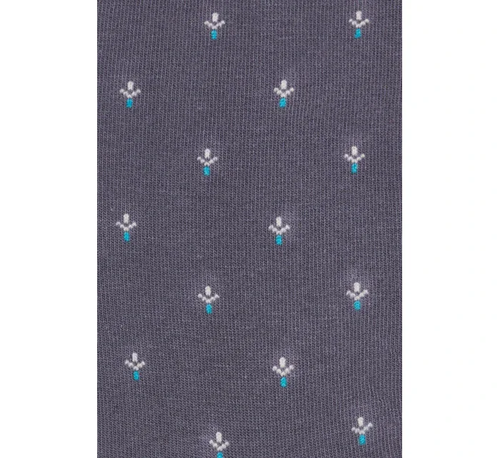 Pánské ponožky 056 209 - Steven