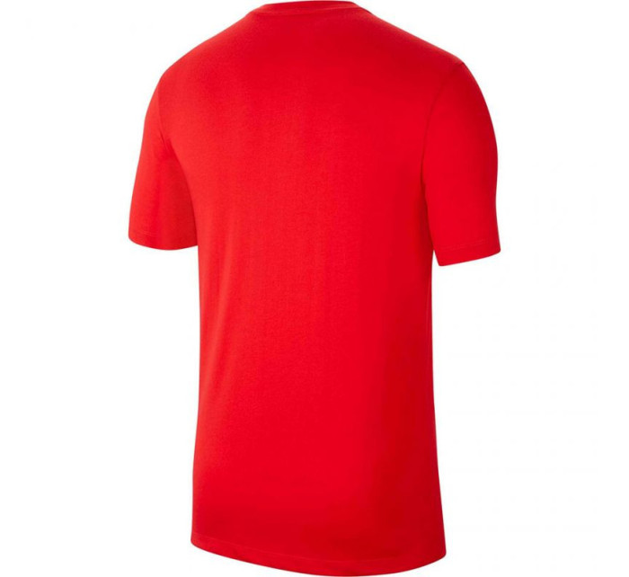 Dětské fotbalové tričko JR DriFIT Park 20 model 16032106 - NIKE
