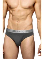 Pánské slipy 2 pack 013 grey - Atlantic