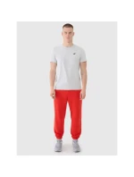 Spodnie dresowe męskie model 21460755 - 4F