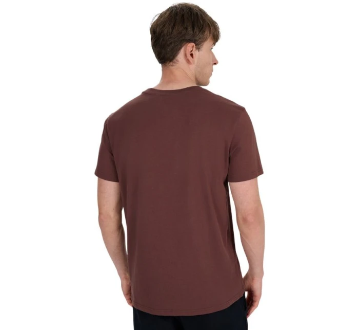 Pánské tričko 4F M2961 tmavě hnědé 4FWAW25TTSHM2961 80S pánské