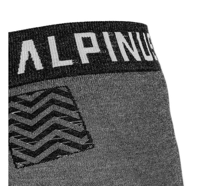 Dámské termo kalhoty Pro Edition W model 16014488 - Alpinus