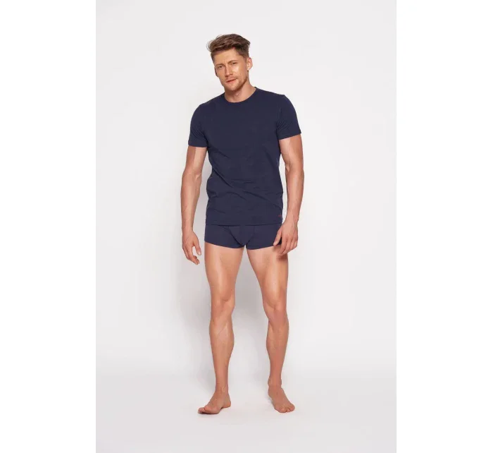 Pánské tričko  blue  model 20498423 - Henderson