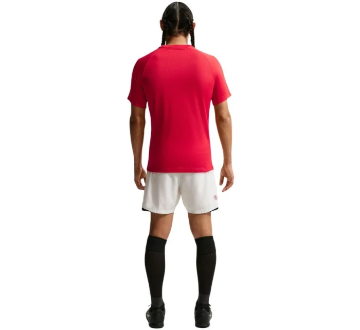 Nike Dri-Fit Park VIII pánské tričko červené HV8173 657 pánské