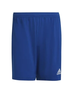 Entrada 22 M pruhované šortky HG6294 - Adidas