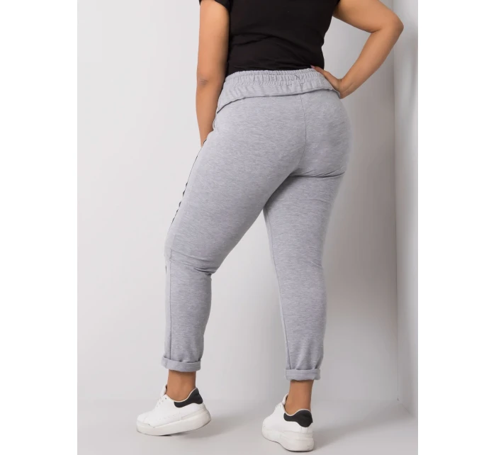 Tepláky RV DR 6300.19 šedá