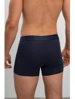 Pohodlné pánské boxerky set 2 ks model 17162534 - Vamp